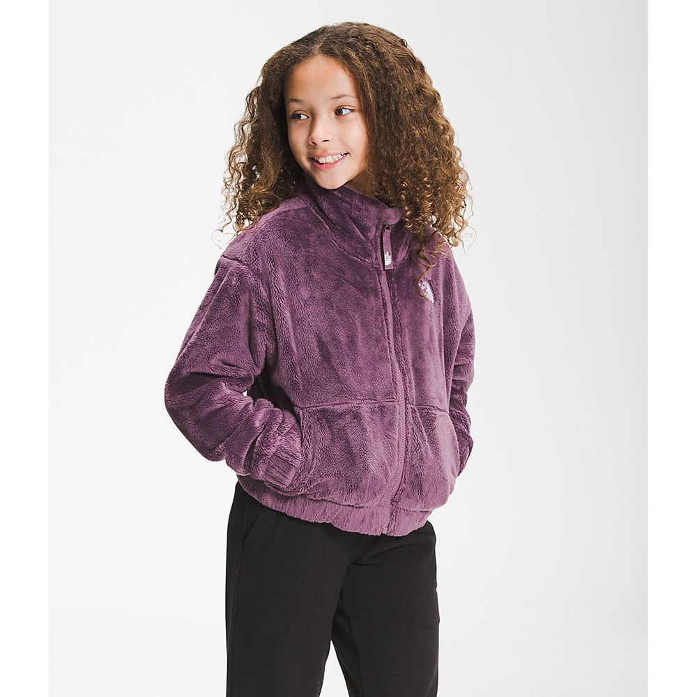 The North Face Full Zip Jacket Girls Australia - The North Face Osolita Purple (MLJ-241596)